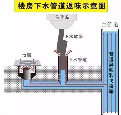 告別廚衛(wèi)臭味？先從讀懂地漏開(kāi)始！